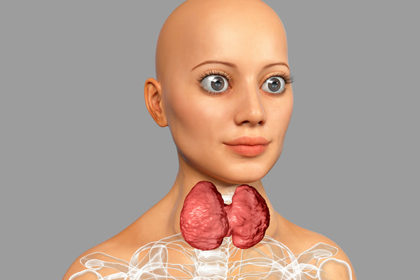 Understanding Thyroid Eye Disease