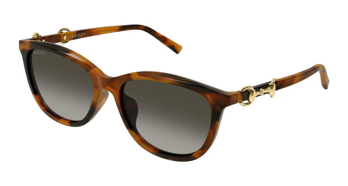 002 - Havana - Brown