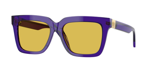 Versace 4498F Sunglasses