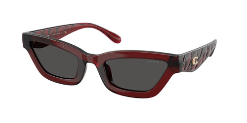 Coach Cad28 8420U Sunglasses