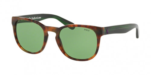 Polo 4099 Sunglasses