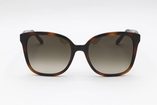 Salvatore Ferragamo SF1072S Sunglasses