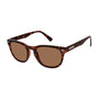 Eddie Bauer EB39400P Sunglasses