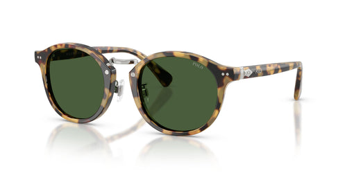 Polo 4230 Sunglasses