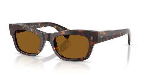100953 - Tortoise - True Brown