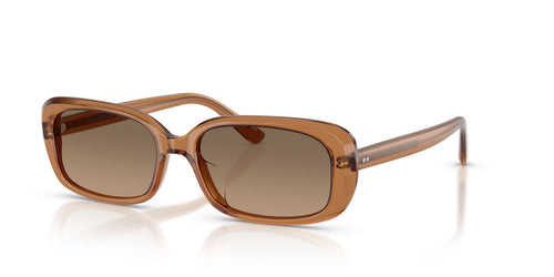 1783GN - Brown - Sandstone Gradient Polarized