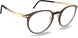 Silhouette Momentum Aurum Fullrim L012 Eyeglasses