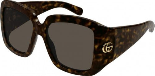 002 - Havana - Brown