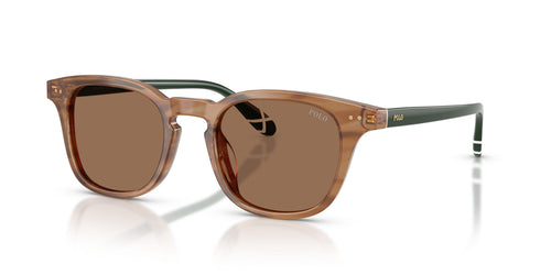 Polo 4251U Sunglasses
