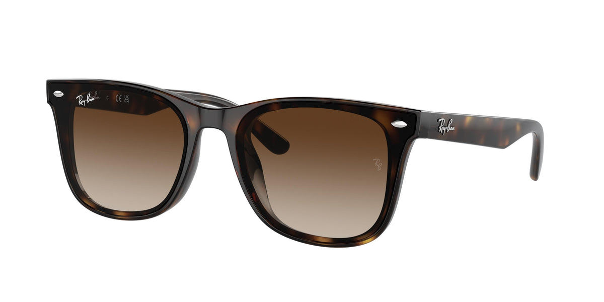 Ray-Ban バーガンディ サングラス Ray-Ban 4420 Sunglasses