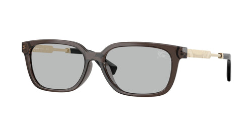 Burberry 4481D Sunglasses