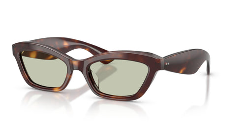 10072 - Tortoise - Green Wash