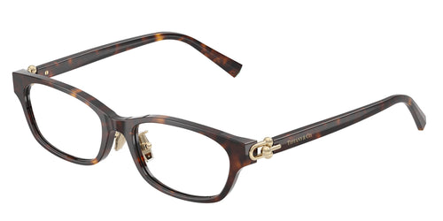 8015 - Tortoise