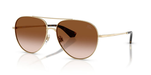 Burberry 3172 Sunglasses