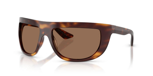 100773 - Tortoise - Brown