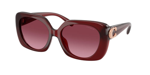 Coach Cad33 8422U Sunglasses