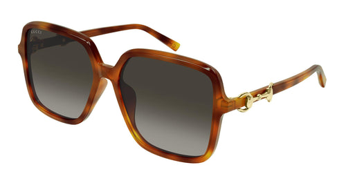 002 - Havana - Brown