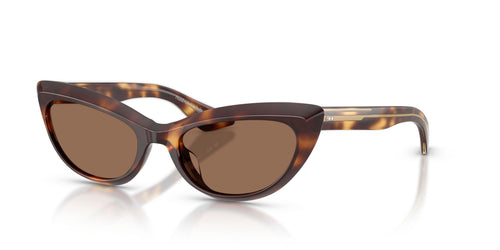 100773 - Tortoise - Brown