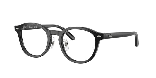 Ray-Ban 5443D Eyeglasses