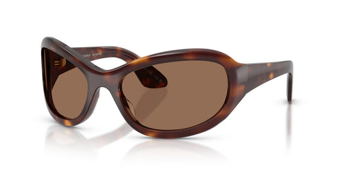 100773 - Tortoise - Brown