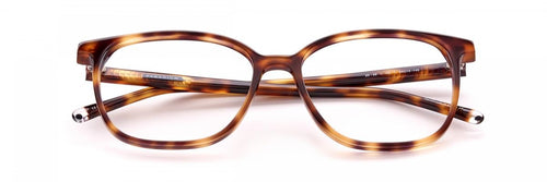 Paradigm 20-09 Eyeglasses