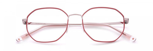 Paradigm 21-01 Eyeglasses