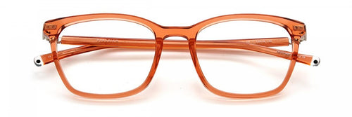 Paradigm 19-22 Eyeglasses