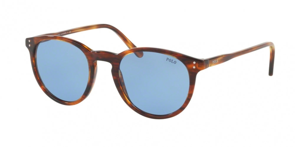 Polo 4110 Sunglasses display picture 3