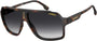 Carrera 1030 Sunglasses - designeroptics.com