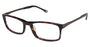 Champion CU4004 Eyeglasses - designeroptics.com