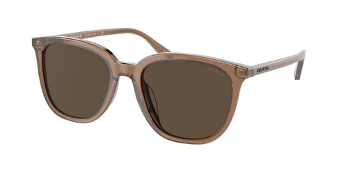 Coach C8006 8338U Sunglasses - designeroptics.com
