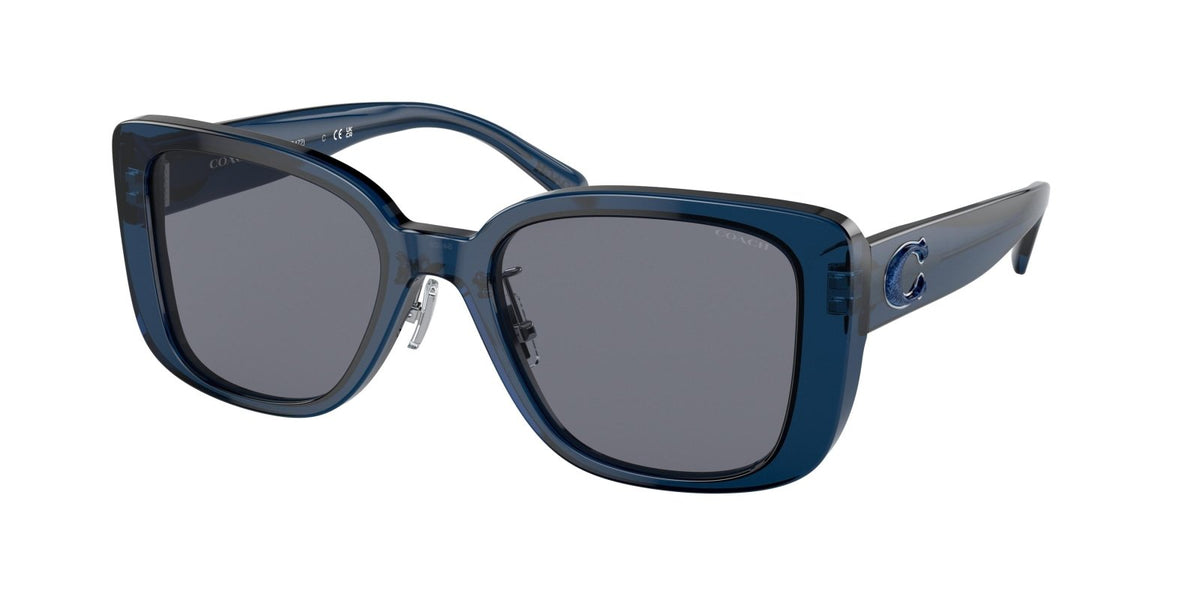 Coach sunglasses cheap blue frame