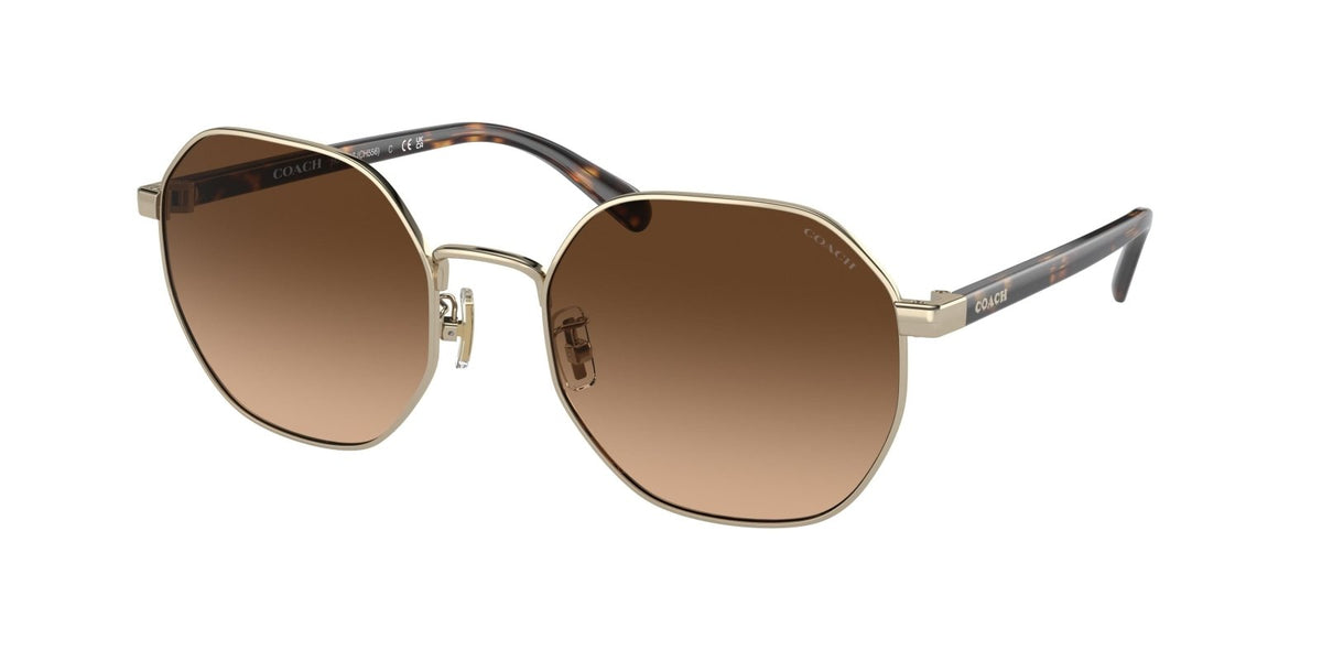 Coach round sunglasses online