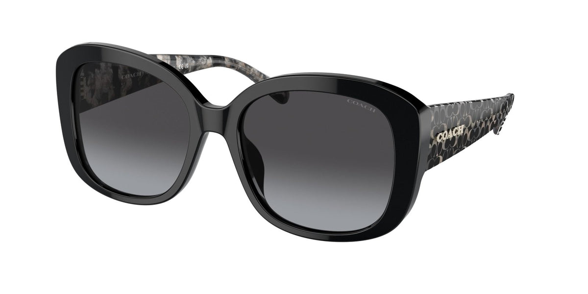 Black store coach sunglasses