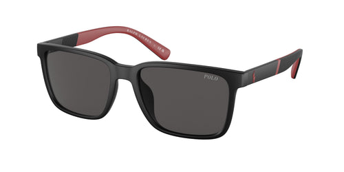 Polo 4189U Sunglasses