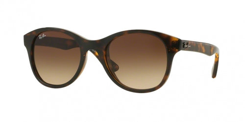 Ray-Ban 4203 Sunglasses