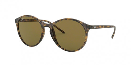 Ray-Ban 4371 Sunglasses