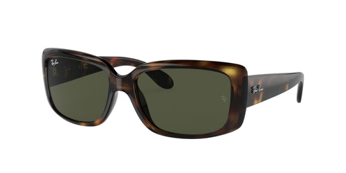 Ray-Ban 4389 Sunglasses