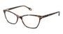 Fysh F3684 Eyeglasses - designeroptics.com