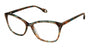 Fysh F3698 Eyeglasses - designeroptics.com