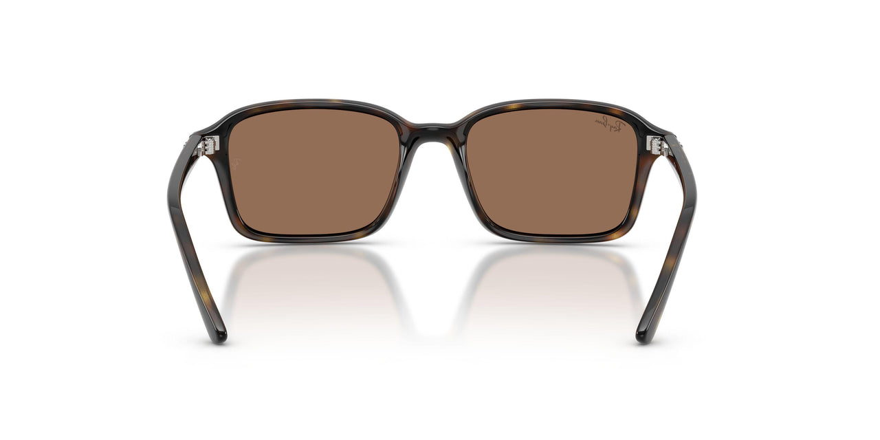 152/73 - Tortoise - Dark Brown