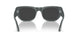 117348 - Grey - Polar Black