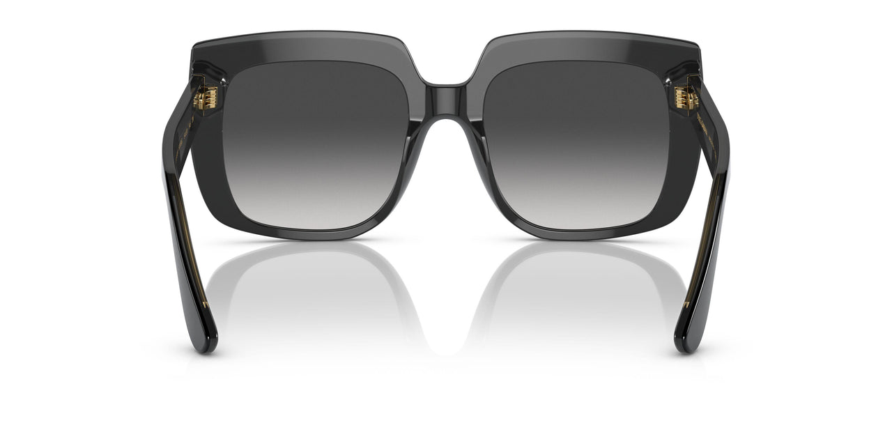 501/8G - Black - Grey Gradient