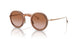335213 - Brown - Gradient Brown