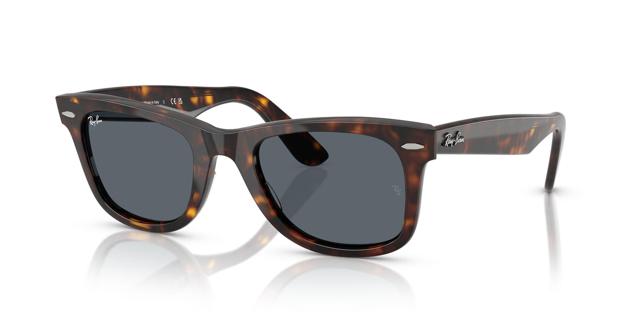 1463R5 - Tortoise - Blue