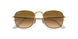 919651 - Gold - Clear Gradient Brown
