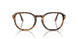 1052 - Tortoise - Clear