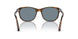 108/56 - Tortoise - Light Blue