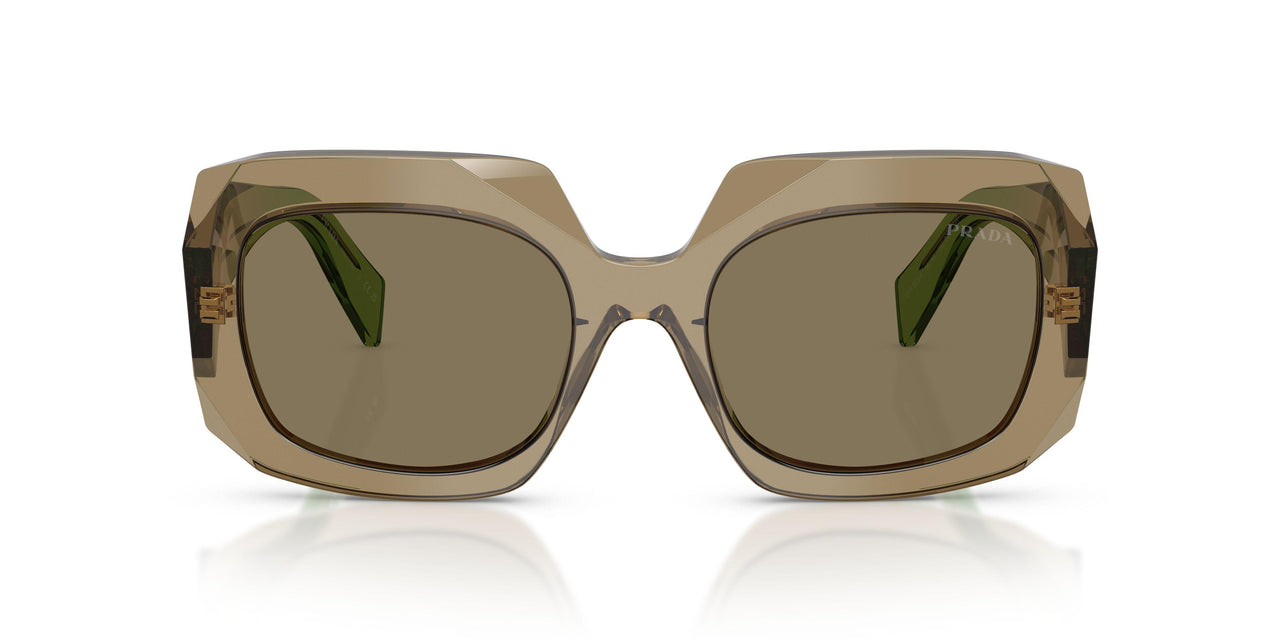29E90F - Brown - Light Brown