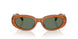 29L70L - Brown - Dark Green